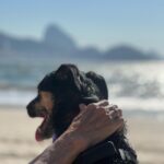 Chico Felitti Instagram - Hoje faz um ano q saí meio altinho de um almoço e cometi o melhor erro da vida. Passei numa feira de adoção & vi uma filhotona desengonçada que era mais magra que os irmãos, pq eles não deixavam ela mamar. Uma cachorra que tinha cara de coitada, com olhos de copo d’água. Três dias depois, já tava sóbrio e com ela em casa. E descobri que se tratava da ganhadora do Oscar de melhor atriz canina: a cara de coitada escondia um demônio da Tasmânia, quatro quilos de puro caos. Desde então, pachorra destruiu dinheiro, oito cabos de iPhone, dois sofás, todos os chinelos da casa… mas também roeu a parede do meu coração, onde se aboletou e deitou, pedindo carinho. É o cachorro mais amoroso do mundo. Adotar um bicho muda a vida (mais a sua do que a dele, acredite, & pra melhor)