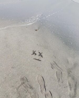 Chinozo Instagram - 海にサインしてきた