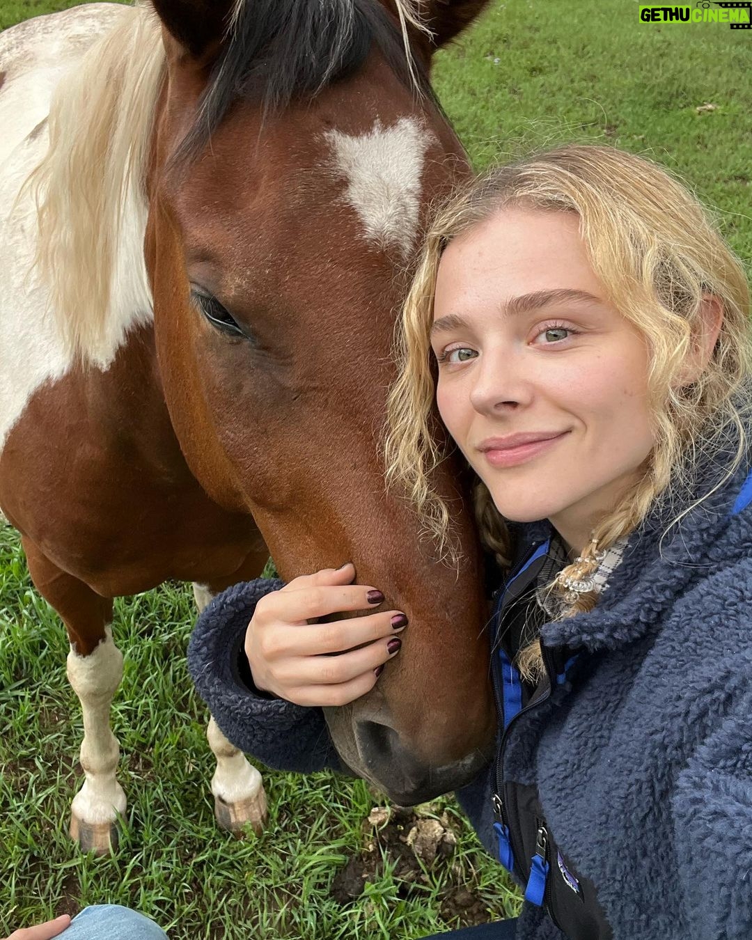 Chloë Grace Moretz - 647.6K Likes - 2022, thank you❤️ you’ve taught me so many things, and most importantly, thank you to the incredible people in my life. I love you all very much and without you, this year would’ve been a whole lot different❤️ I can’t wait to see what ‘23 holds - and 10 slides is no where near enough