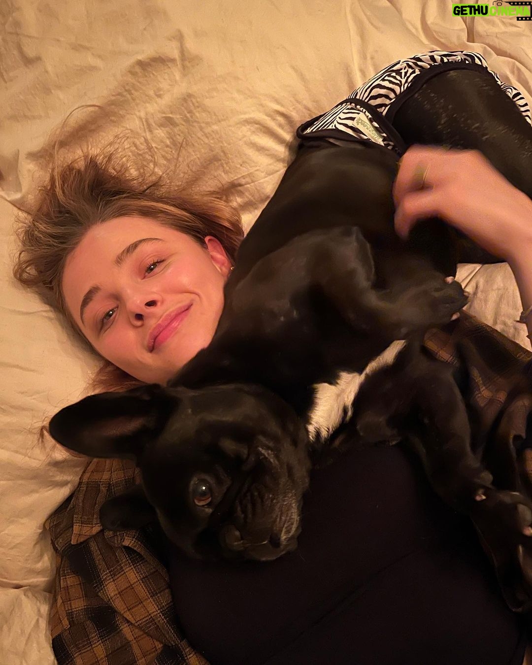 Chloë Grace Moretz - 647.6K Likes - 2022, thank you❤️ you’ve taught me so many things, and most importantly, thank you to the incredible people in my life. I love you all very much and without you, this year would’ve been a whole lot different❤️ I can’t wait to see what ‘23 holds - and 10 slides is no where near enough