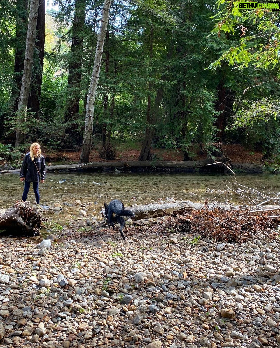 Chloë Grace Moretz Instagram - Just a little camping photo dump from not too long ago 🏕