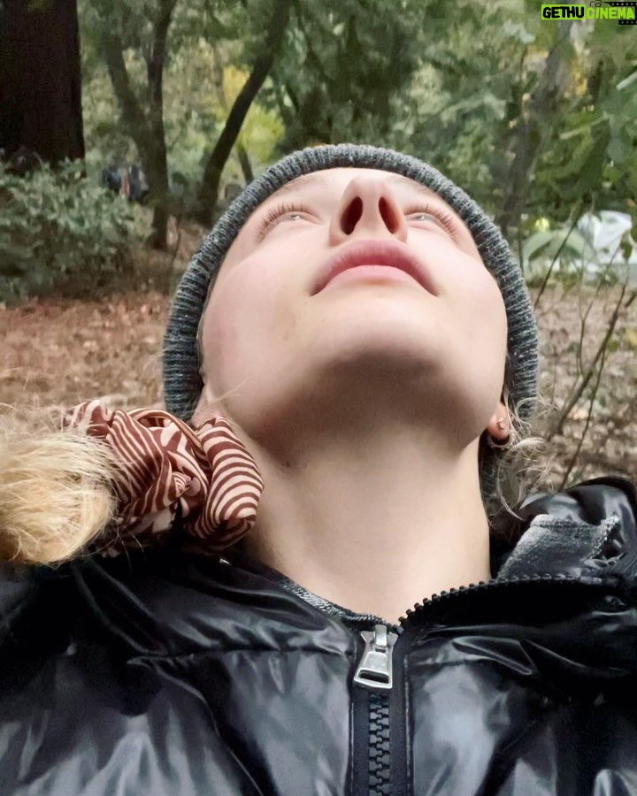 Chloë Grace Moretz Instagram - Just a little camping photo dump from not too long ago 🏕