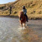 Chris Hemsworth Instagram - Day two of our Icelandic adventures 🐎 🐴 @hekluhestar