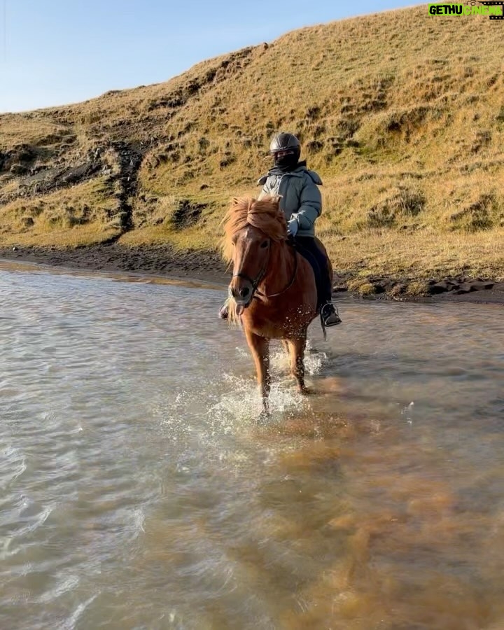 Chris Hemsworth Instagram - Day two of our Icelandic adventures 🐎 🐴 @hekluhestar