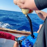 Chris Hemsworth Instagram - My son wanted to catch a fish for the locals in Fiji and after 3 attempts and about 12 hrs at sea we pulled in this beauty. Fed the village for 3 days. Ps if your wondering why my son calls me Chris it’s because I’m his BFF and true mates don’t call each other dad @tavaruaislandresort