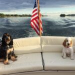 Chris O'Donnell Instagram - Seatbelts please