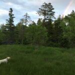 Chris O'Donnell Instagram - Hunting for that pot of gold