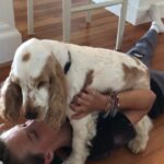 Chris O'Donnell Instagram - Finn returns from camp #happydog #washyourface