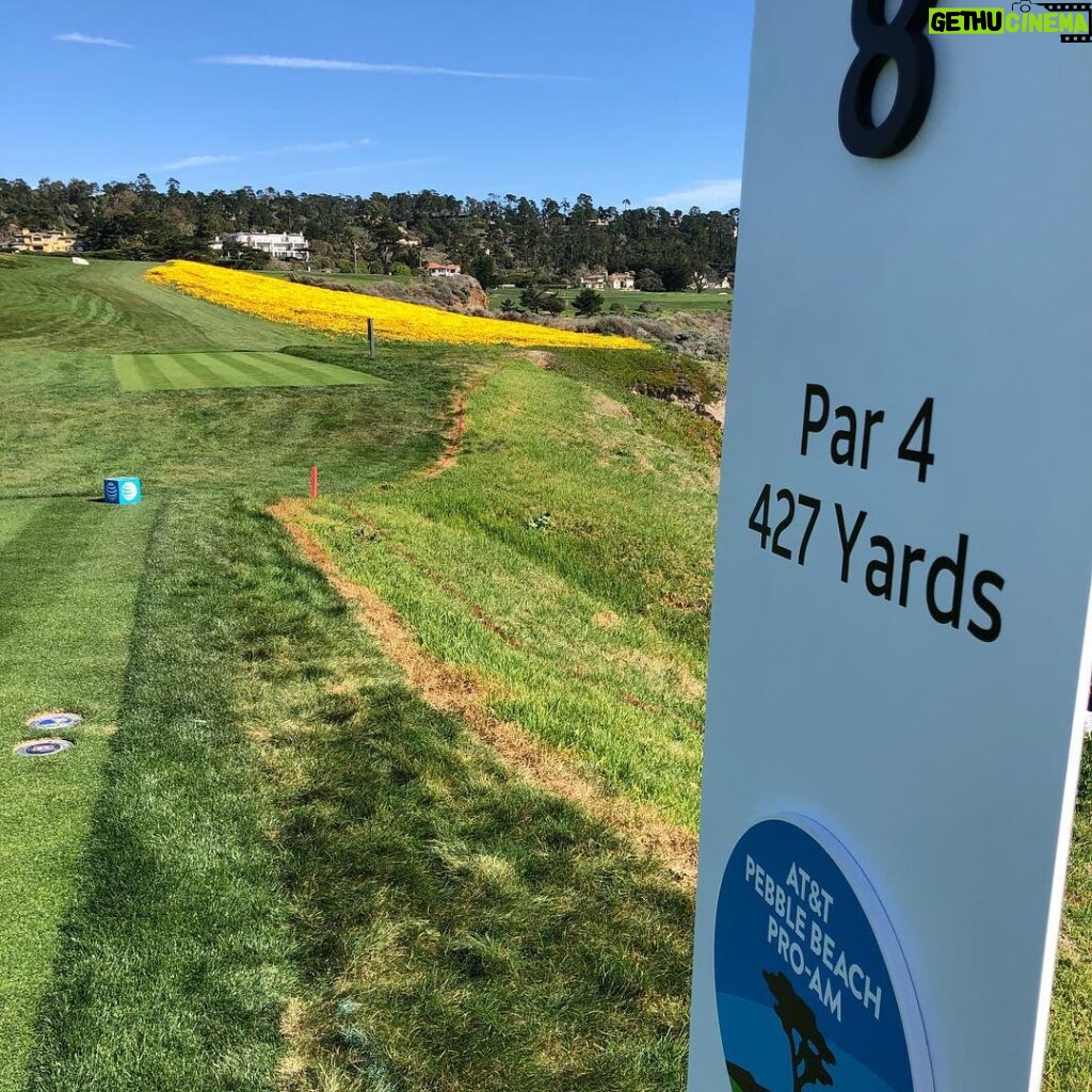 Chris O'Donnell Instagram - Number 8 showing some color this year. #attpebblebeach @attproam