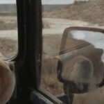 Chrissie Hynde Instagram - ‘You Or No One’ Video premiere May 12 #chrissiehynde