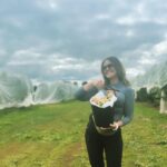 Chrissie Swan Instagram - Went apple picking again. Picked apples. May have eaten a few right there straight off the tree like a GANGSTER. Was lovely 🍎 ❤️ @paynesorchards