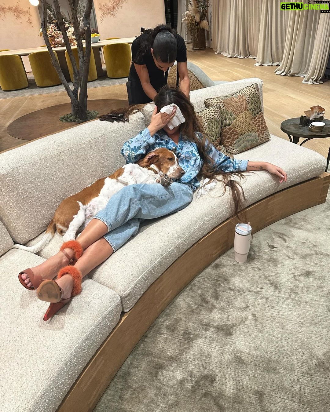 Chrissy Teigen Instagram - my OG babies! (always been a basset lover 🥰) give me all the dogs!!