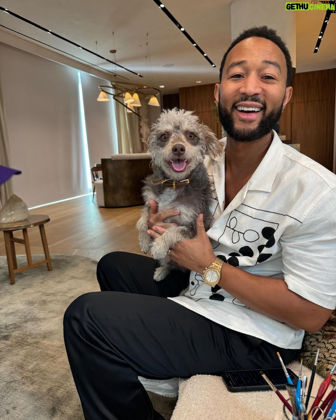 Chrissy Teigen Instagram - my OG babies! (always been a basset lover 🥰) give me all the dogs!!