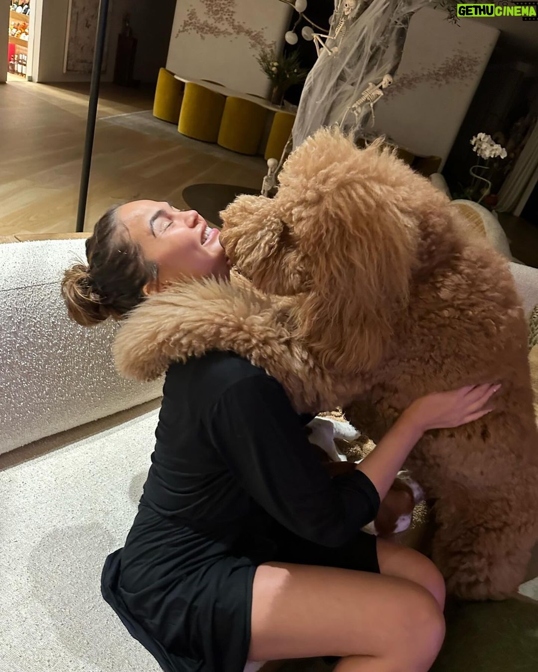 Chrissy Teigen Instagram - my OG babies! (always been a basset lover 🥰) give me all the dogs!!
