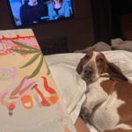 Chrissy Teigen Instagram - my OG babies! (always been a basset lover 🥰) give me all the dogs!!