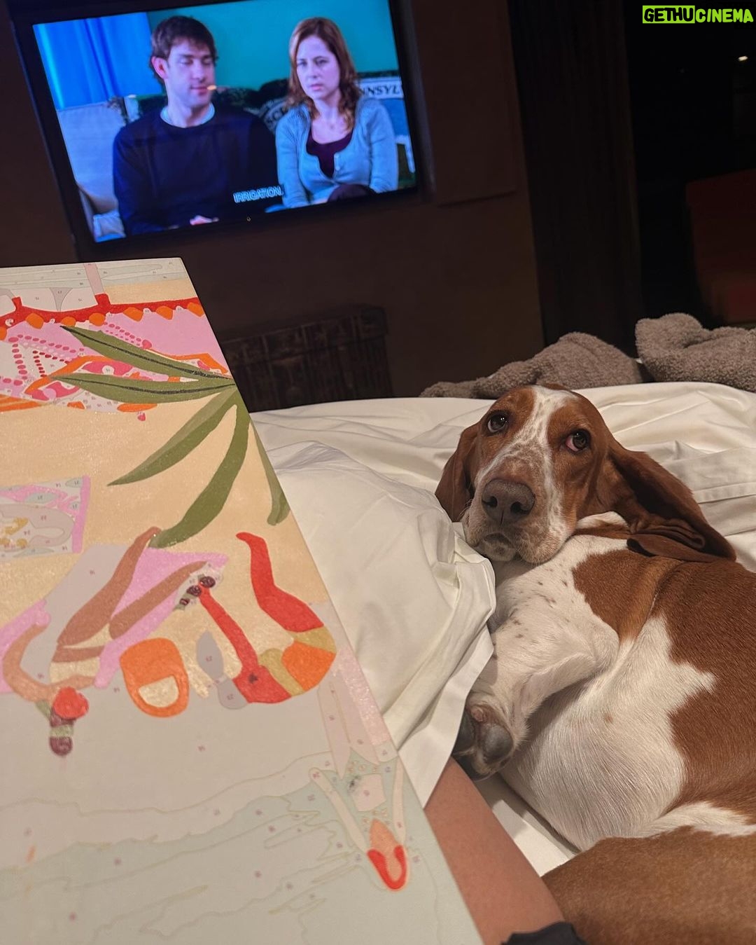 Chrissy Teigen Instagram - my OG babies! (always been a basset lover 🥰) give me all the dogs!!