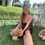 Chrissy Teigen Instagram - I don’t brag about much honestly, for I am super insecure and lack confidence most my life lol but animals always always flock to my arms and it makes me happy.