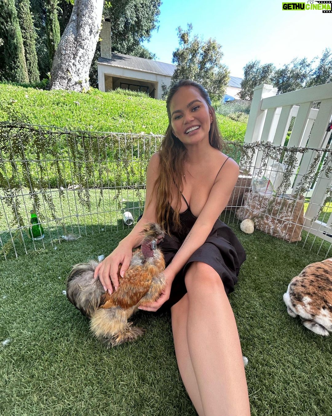 Chrissy Teigen Instagram - I don’t brag about much honestly, for I am super insecure and lack confidence most my life lol but animals always always flock to my arms and it makes me happy.
