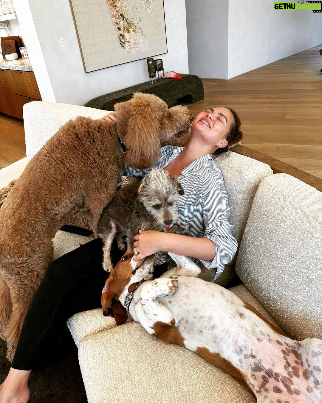 Chrissy Teigen Instagram - cuddle puddleeeeee