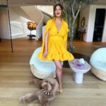 Chrissy Teigen Instagram - day date with my big boy, petey! the beauties (and many more!) on my last two slides are up for adoption from wonderful @wagsandwalks rescue!!