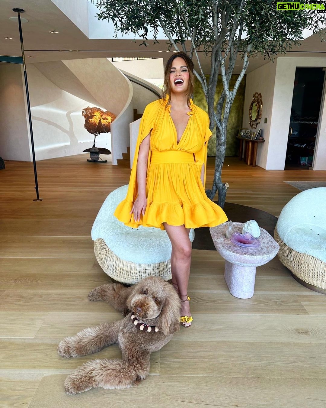 Chrissy Teigen Instagram - day date with my big boy, petey! the beauties (and many more!) on my last two slides are up for adoption from wonderful @wagsandwalks rescue!!