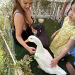 Chrissy Teigen Instagram - I don’t brag about much honestly, for I am super insecure and lack confidence most my life lol but animals always always flock to my arms and it makes me happy.