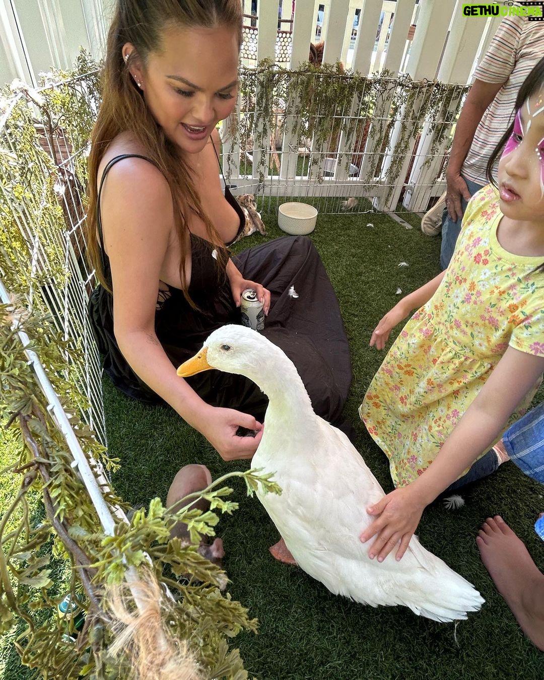 Chrissy Teigen Instagram - I don’t brag about much honestly, for I am super insecure and lack confidence most my life lol but animals always always flock to my arms and it makes me happy.