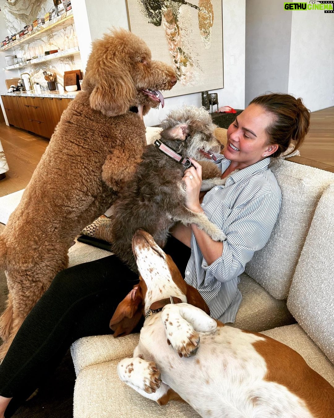 Chrissy Teigen Instagram - cuddle puddleeeeee