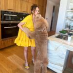 Chrissy Teigen Instagram - day date with my big boy, petey! the beauties (and many more!) on my last two slides are up for adoption from wonderful @wagsandwalks rescue!!