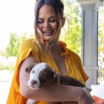 Chrissy Teigen Instagram - day date with my big boy, petey! the beauties (and many more!) on my last two slides are up for adoption from wonderful @wagsandwalks rescue!!