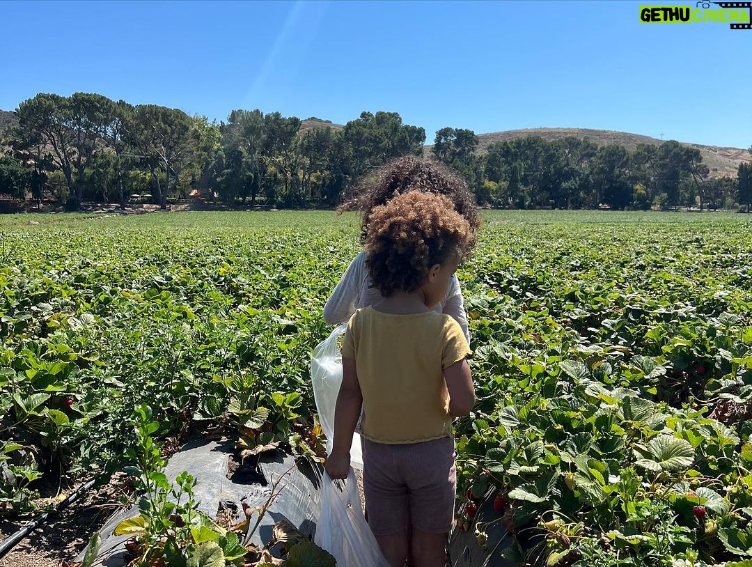 Christina Vidal Instagram - Fun Day at the Farm… 🥰