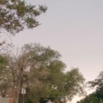 Christina Vidal Instagram - You guys!! Check out the official trailer for our new show! #PRIMO ! Stream it on May 19th on @amazonfreevee I cannot wait for you all to experience this amazing cast and family that has been put together! I had the Time of my life making it and I hope you guys enjoy watching it !