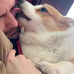 Cig Neutron Instagram – How I wake up every morning. So grateful for this little bun muffin @tupacshacorgi so full of love for me. #corgisofinstagram #corgi #dog #morning #pembroke #pembrokewelshcorgi #tupacshacorgi