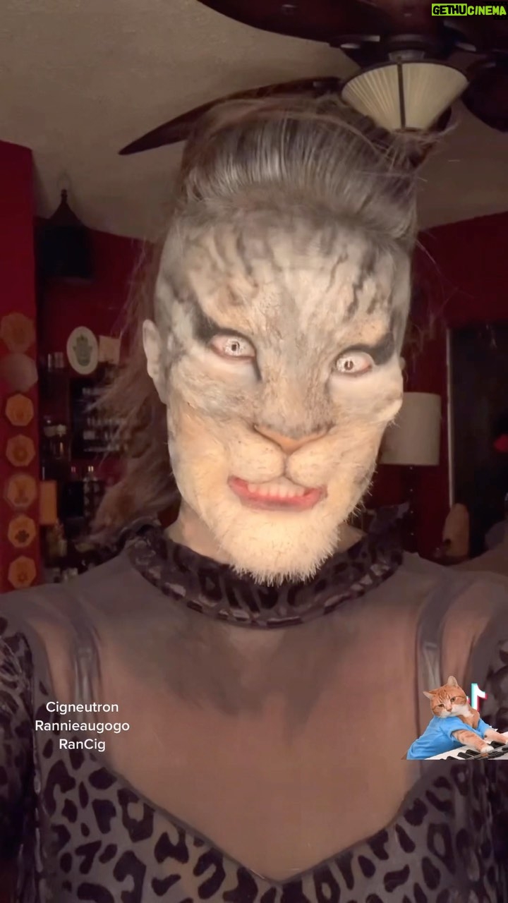 Cig Neutron - 715 Likes - My favorite form. #sfxmakeup by @cigneutron #kitty #cat #holidaze