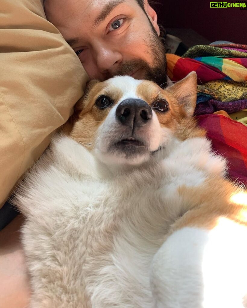 Cig Neutron Instagram - I can’t even describe how much love I have for this little ball of floof and cosmic love @tupacshacorgi #corgi #pembroke #pembrokewelshcorgi #dog #dogsofinstagram #dogs #cute