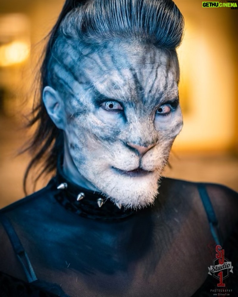 Cig Neutron - 685 Likes - @rannieaugogo and I had the most incredible time at @theofficialdomcon I have such a deep respect for Dommes and the work that they do. Thank you so much @theofficialporcelainmidnight for inviting us, showing us around, and sharing your wisdom with us. Check out episode 116 of Spewtron where I interview Mistress Porcelain. My amazing jacket by @battle.jacket.bill if anyone knows the wonderful photographers IG please tag. #dom #domcon #domconla #battlejacket #cat #pet