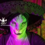 Cig Neutron Instagram – The vibe. #goddessmeowmeow #sfxmakeup by @cigneutron for @bizarroaugogo #halloweencostume