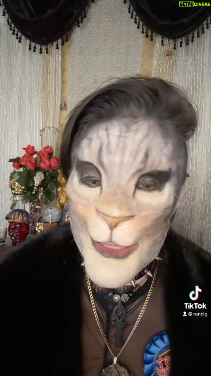 Cig Neutron Instagram - #meowmeow #domconla #makeup by @cigneutron #cosplay #cat