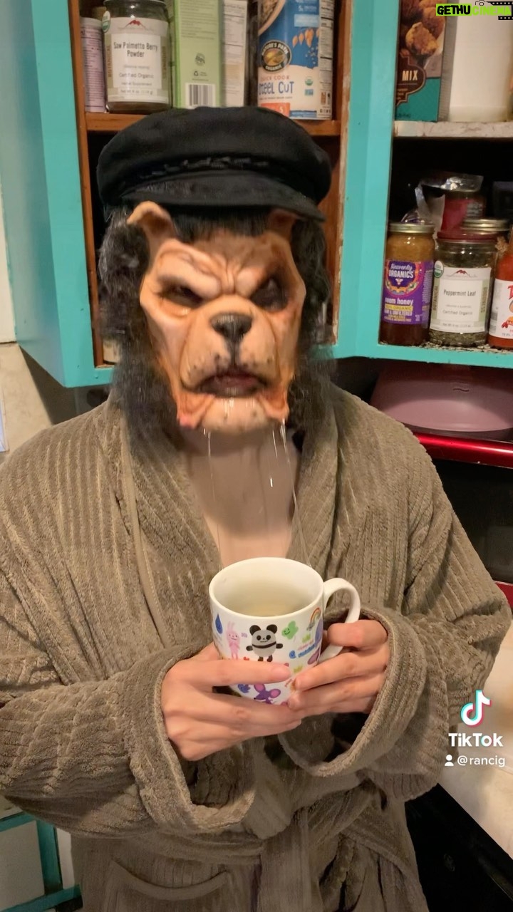 Cig Neutron Instagram - Leather dog coffee thoughts. #sfx @cigneutron
