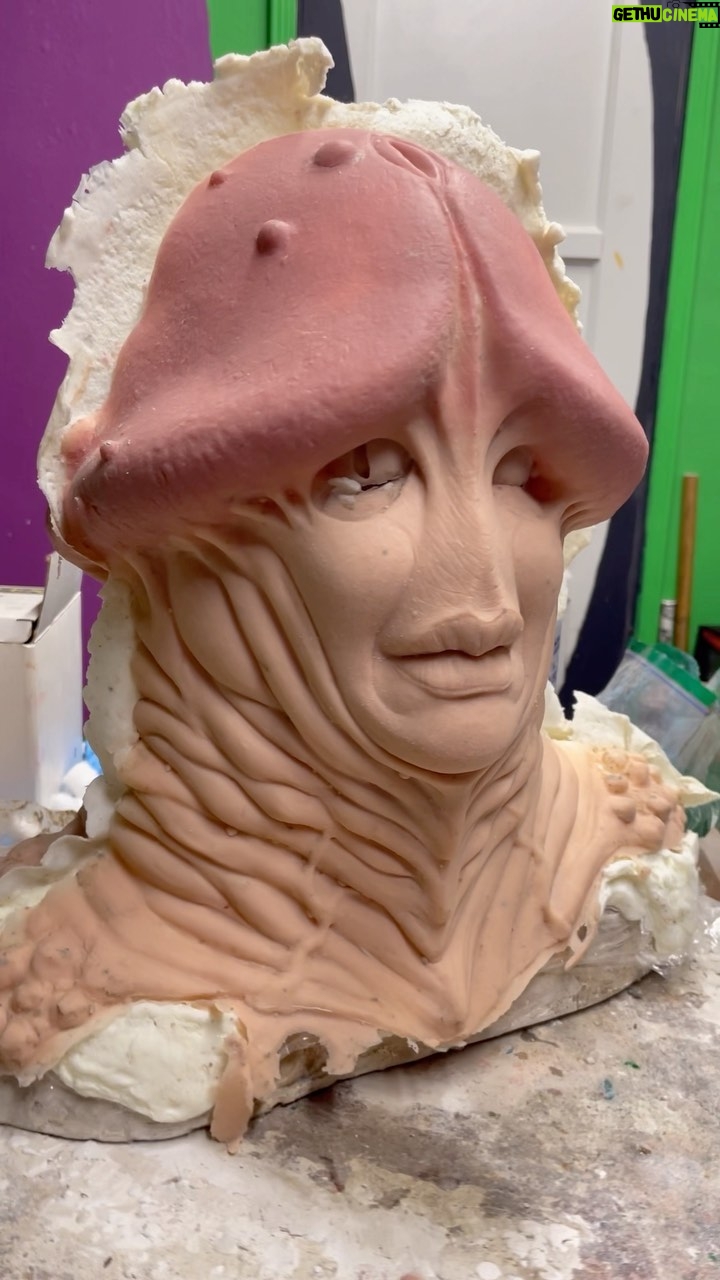 Cig Neutron - 14.8K Likes - Cast the D*ck pixie mask today and the first cast wasn’t perfect but maybe I can still use it. This is another character for our upcoming @bizarroaugogo the movie crowdfunding pitch! #pixie #silicone #maskmaking #funny #bizarroaugogo #cigneutron #fantasy #fairy #fungus