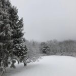 Claire Danes Instagram - Holy moly, a for real white Christmas!