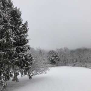 Claire Danes Instagram - Holy moly, a for real white Christmas!