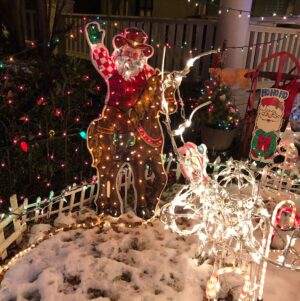 Claire Danes Instagram - Xmas to the Max! #tackylightstour #rva #merrymerry