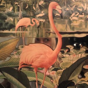 Claire Danes Instagram - Hide And Flamingo Seek #dangersofadayoff