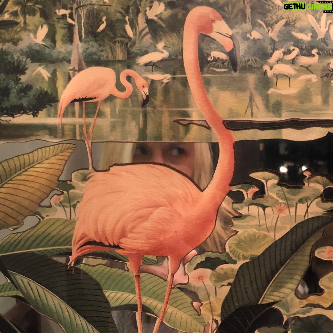 Claire Danes - 2.6K Likes - Hide And Flamingo Seek #dangersofadayoff