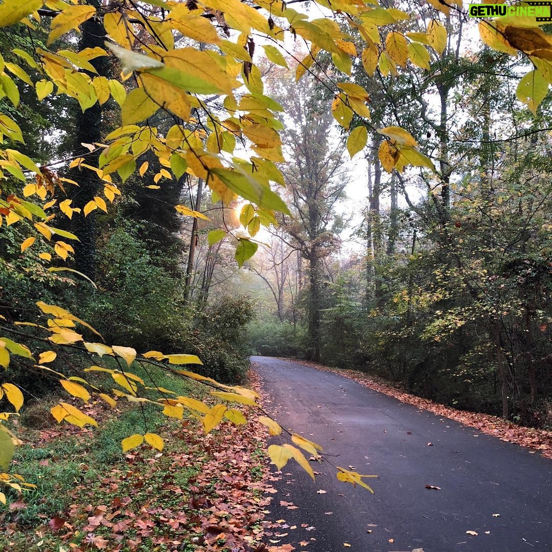 Claire Danes - 4.4K Likes - Falling for Richmond #rva #virginiaisforlovers