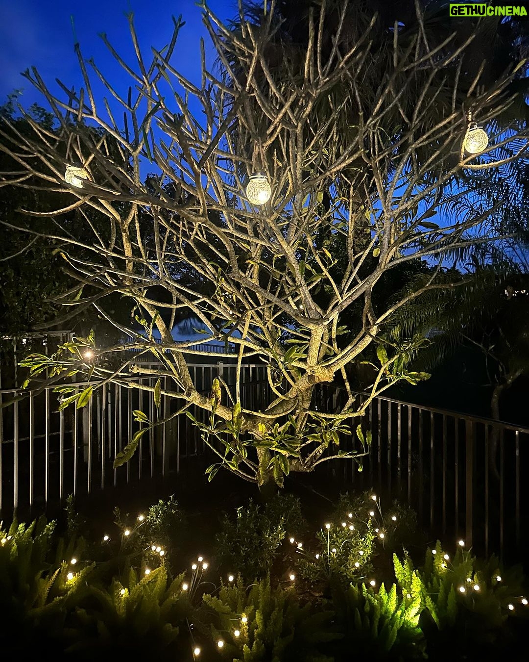Claudia Leitte Instagram - Luz e música e luz e música… 🍷