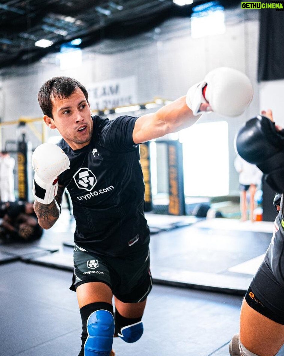 Claudio Puelles - 1.1K Likes - Sparring days 🧨🔥
Solo 5 semanas mas… #UFC281
#PrinceofPeru #ClaudioPuelles #ArribaPeru