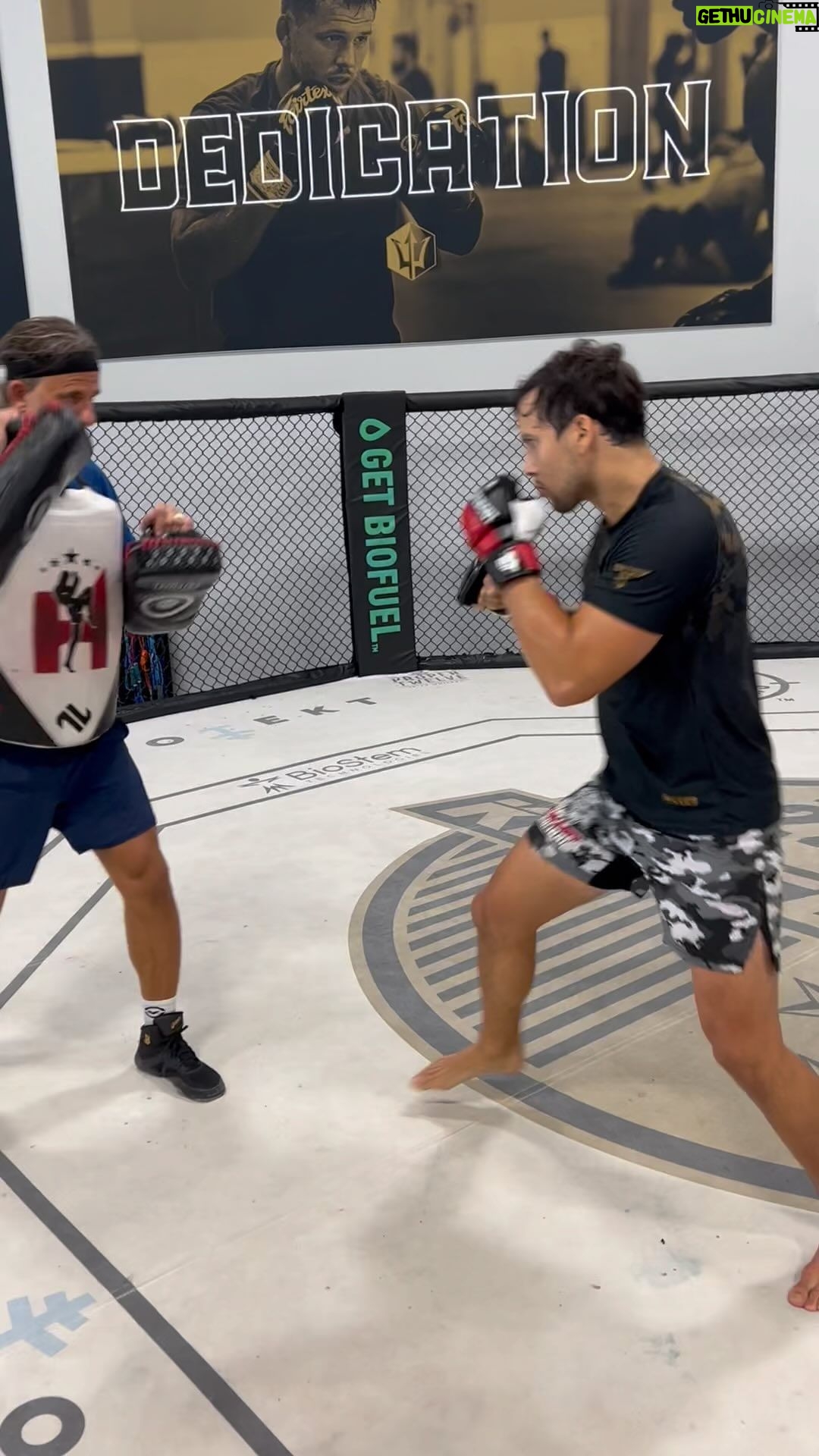 Claudio Puelles - 1.4K Likes - Ya veo una luz al final del tunel! Tercera semana de vuelta y cada vez mas cerca a estar 100% sano y listo para volver al octagono.
Thank you to my trainer @henrihooft for the time and knowledge.
Equipado con mis guantes de mma @uppercut.pe 😎