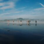 Cole Sprouse Instagram - Lads of the lake, bachelors in Iceland